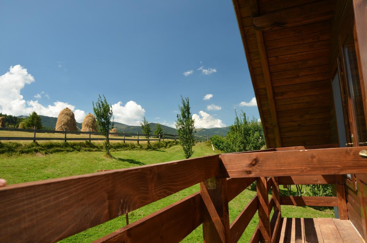 Cabana Denisa Arieşeni Exterior foto